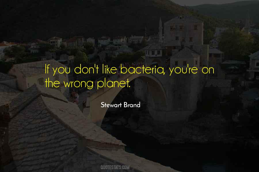 Small Moments Of Happiness Quotes #352065