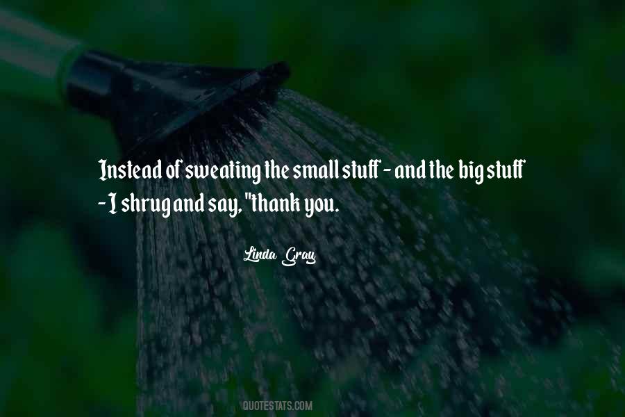 Small Stuff Quotes #232298