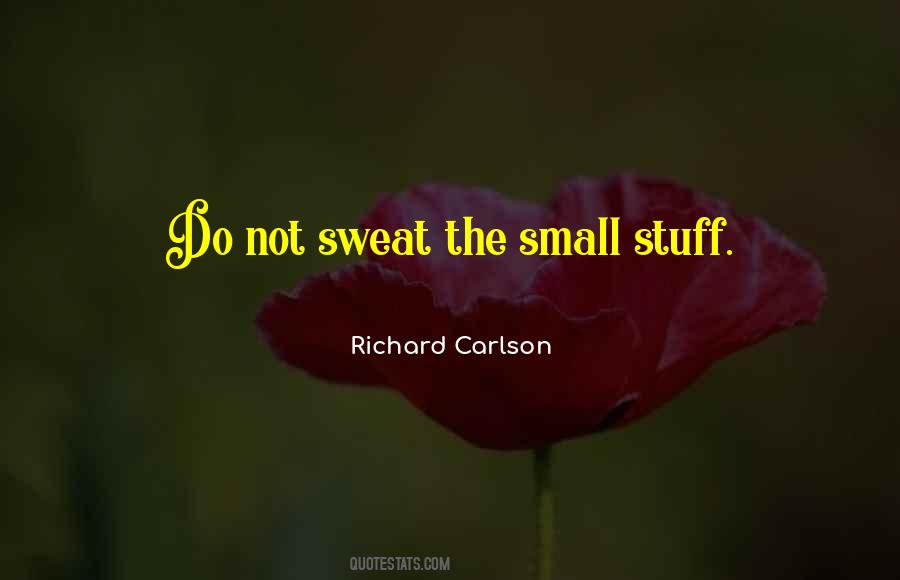 Small Stuff Quotes #543265