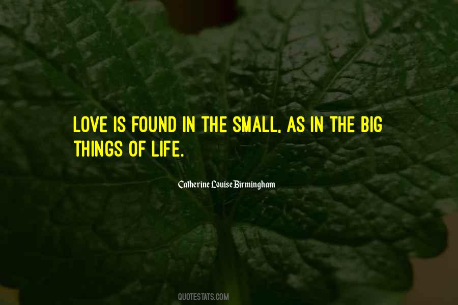 Small Things In Love Quotes #1642034