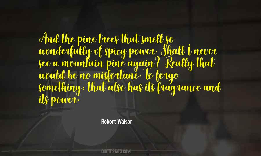 Smell Of Pine Trees Quotes #639079