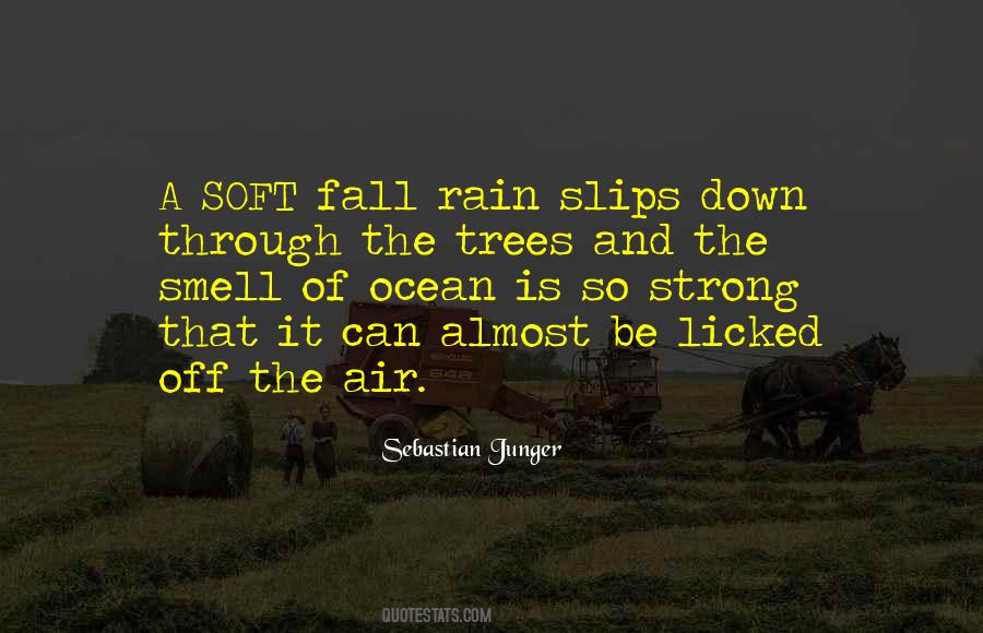Smell Of The Rain Quotes #336372