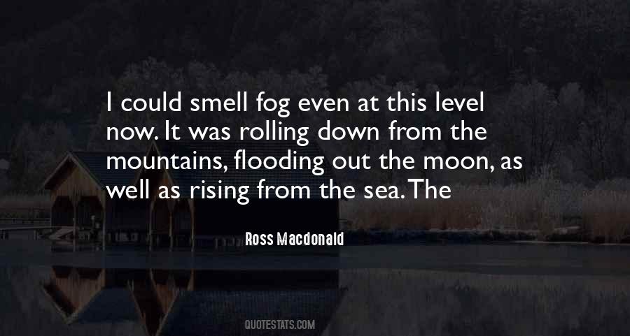 Smell The Sea Quotes #283923