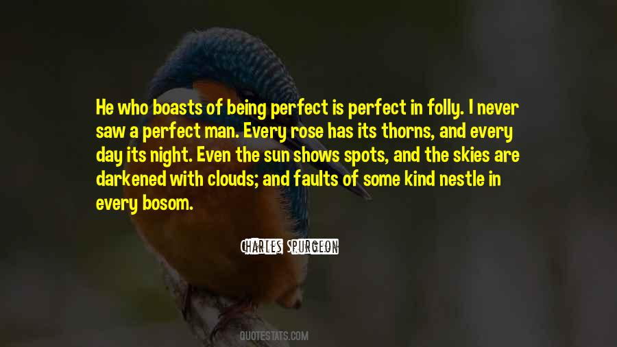 Quotes About Being Perfect #1534774