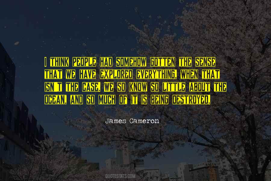 Smurfing Quotes #1542671