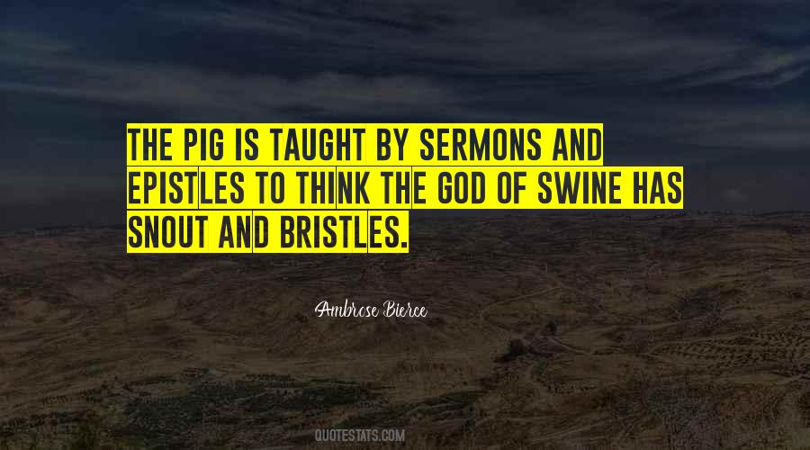 Snout Quotes #332974