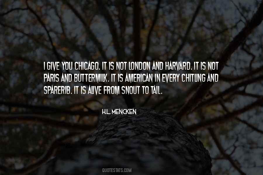 Snout Quotes #559473