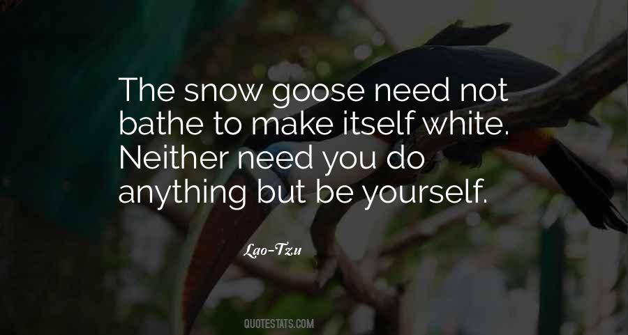 Snow Goose Quotes #1767940