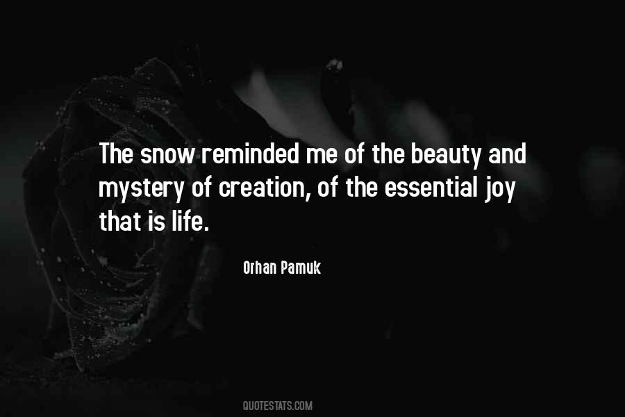 Snow Pamuk Quotes #1601560