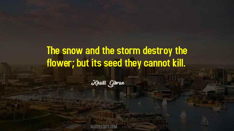 Snow Storm Quotes #14655