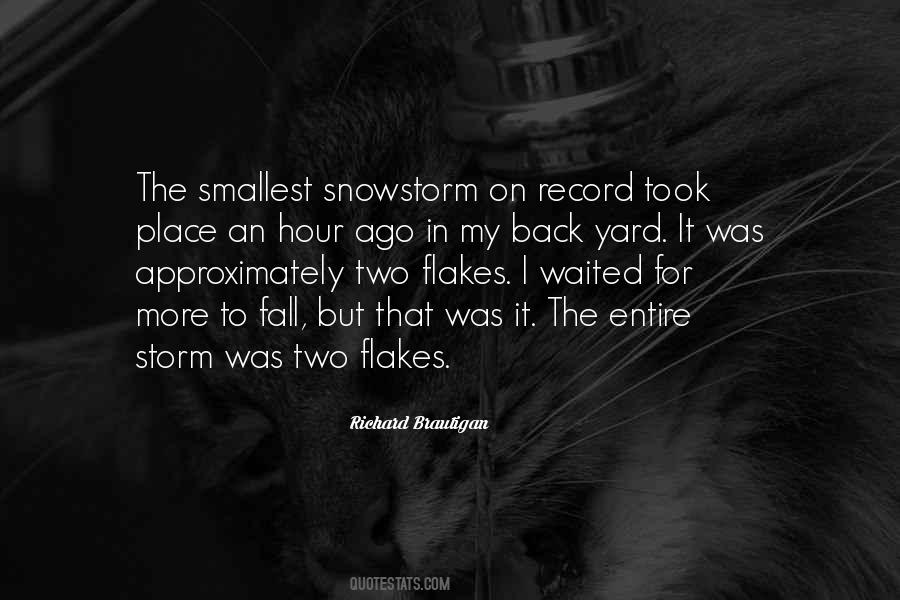 Snow Storm Quotes #1777302