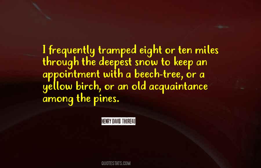 Snow Tree Quotes #412446