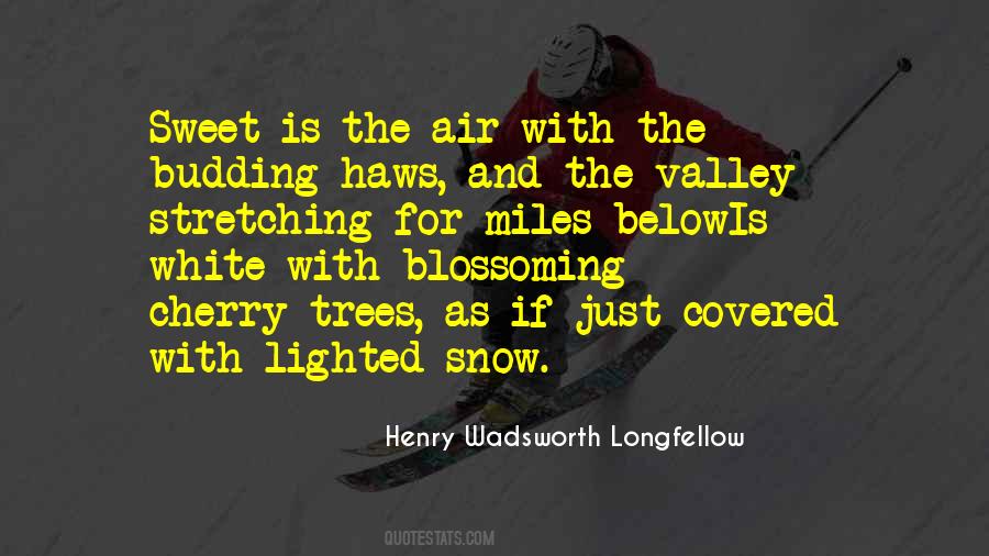 Snow Trees Quotes #1081223