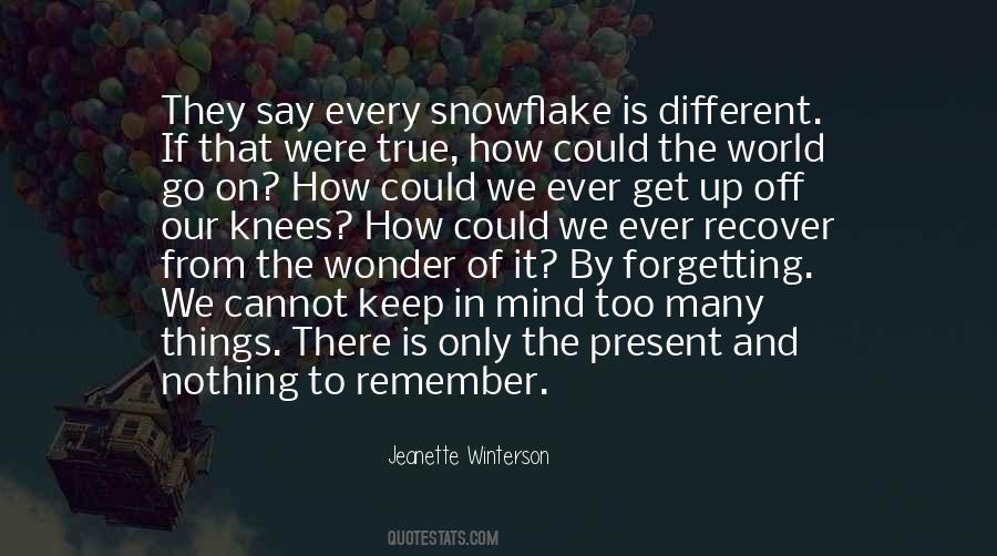 Snowflake Quotes #1126080