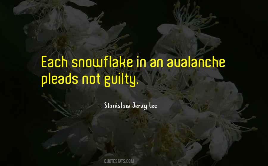 Snowflake Quotes #384551