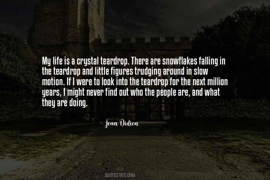 Snowflakes Falling Quotes #1033600