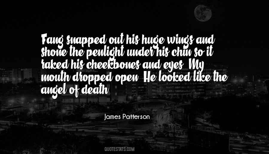 Quotes About Angel Of Death #1461947