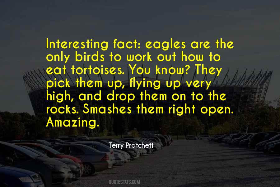 Quotes About Eagles #1259075