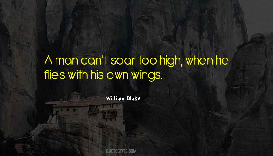Soar Above Quotes #19644