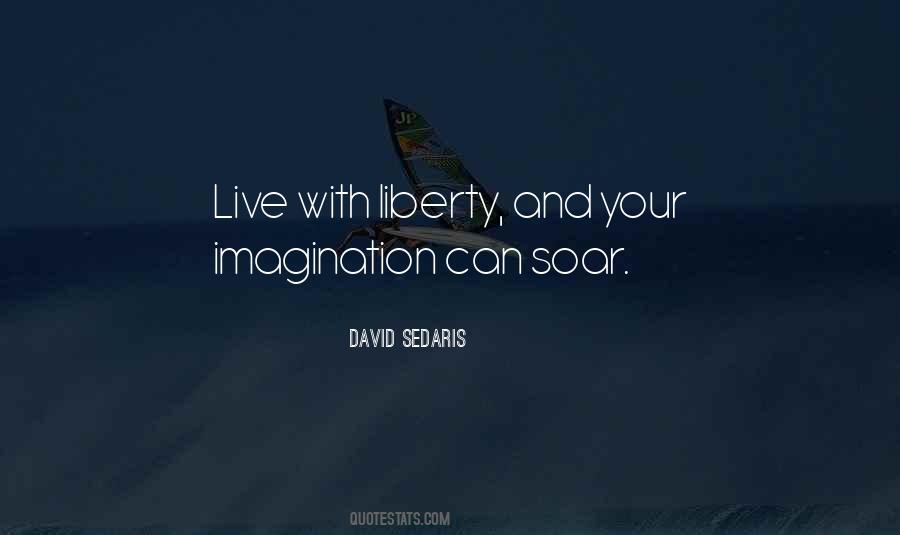 Soar Above Quotes #242539