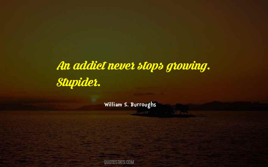 Quotes About Stupider #145988