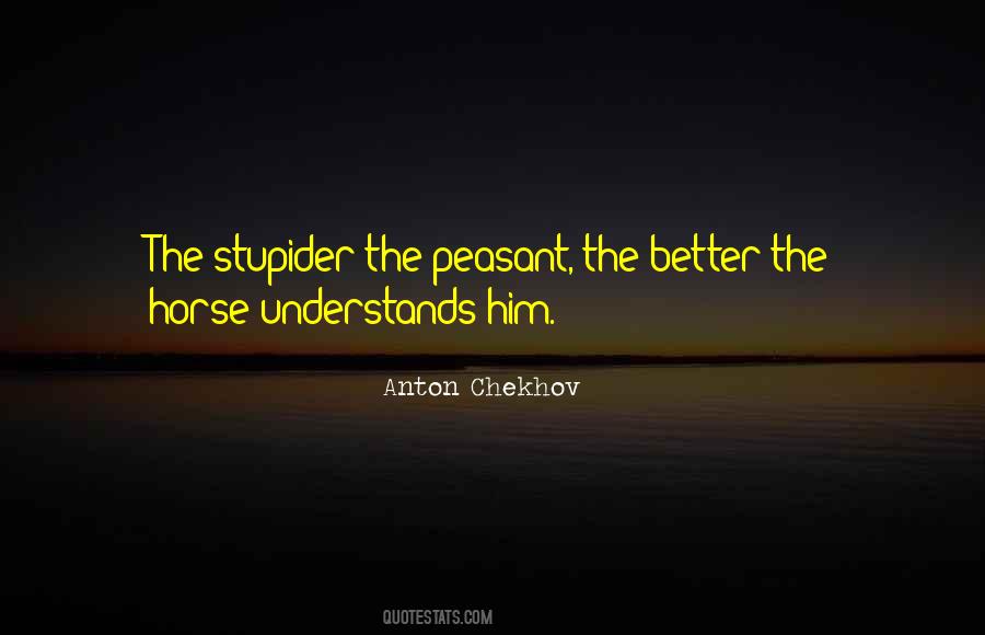 Quotes About Stupider #1756916