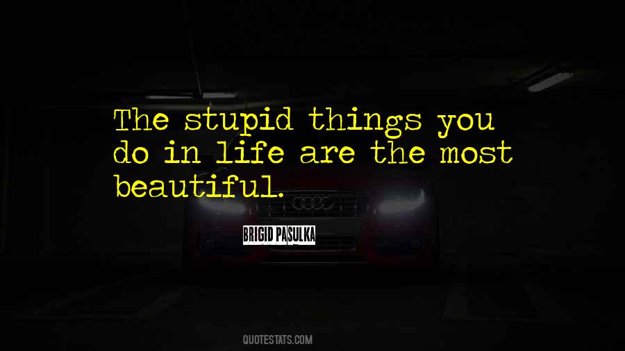 Quotes About Stupid Things In Life #1245451