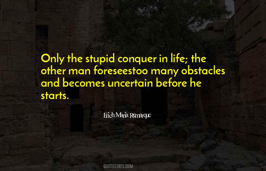 Quotes About Stupid Things In Life #146147