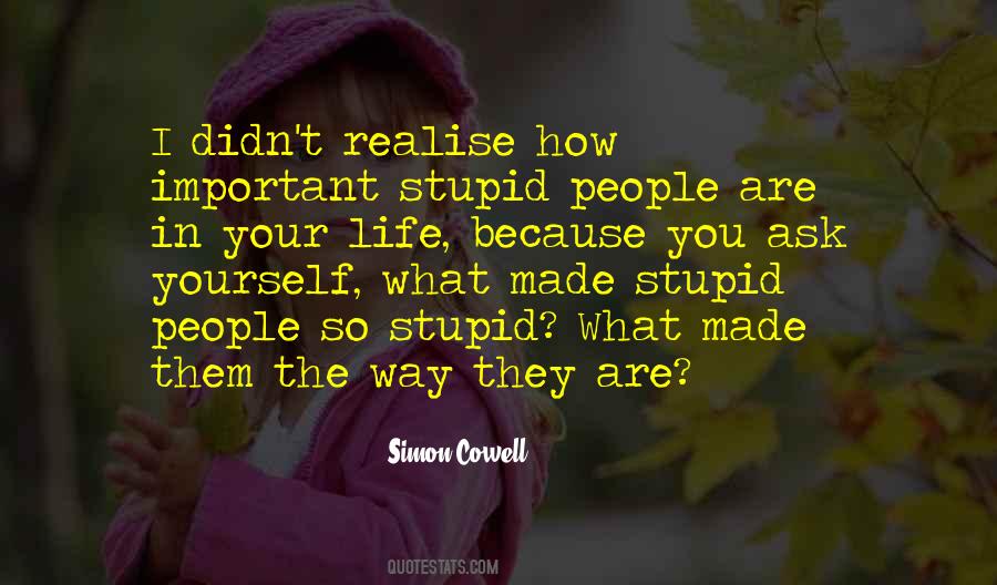 Quotes About Stupid Things In Life #204409