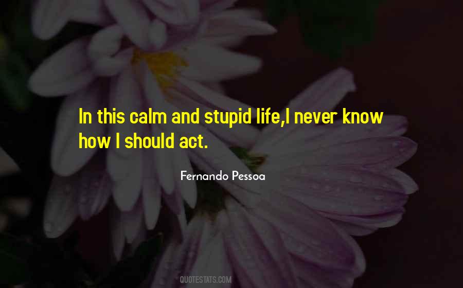 Quotes About Stupid Things In Life #221529