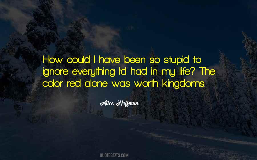 Quotes About Stupid Things In Life #257013