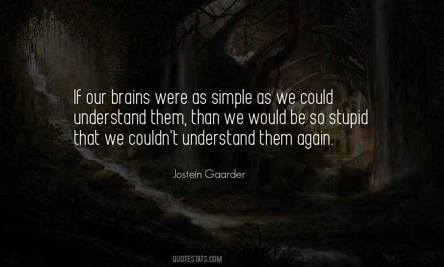 Quotes About Stupid Things In Life #46126