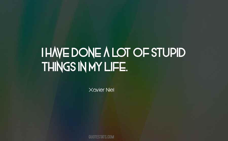 Quotes About Stupid Things In Life #953362