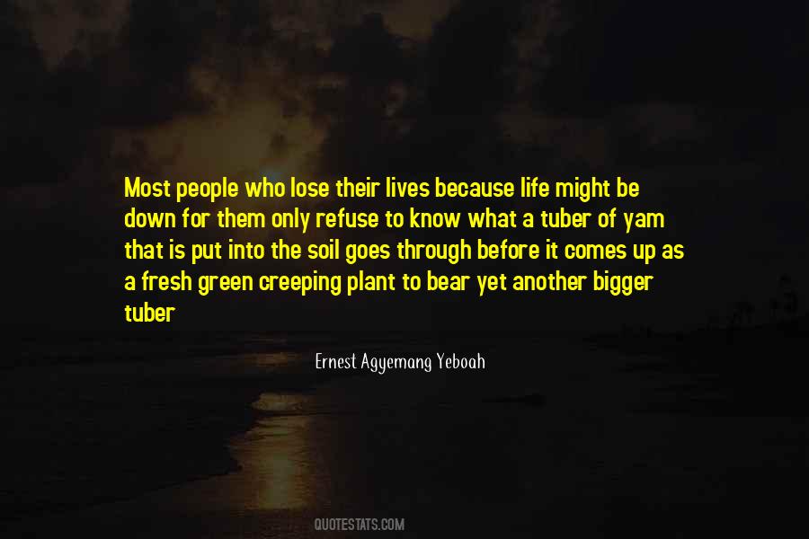 Soil Life Quotes #1116880