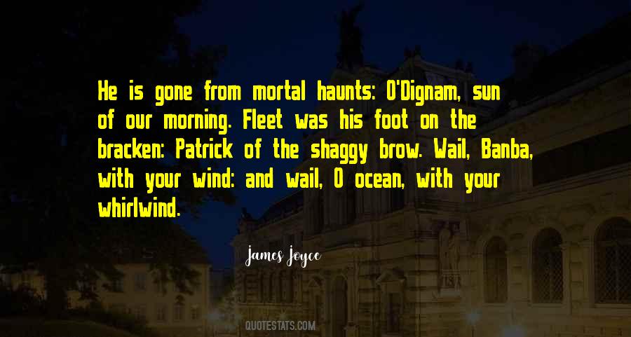 Quotes About James Joyce #121903