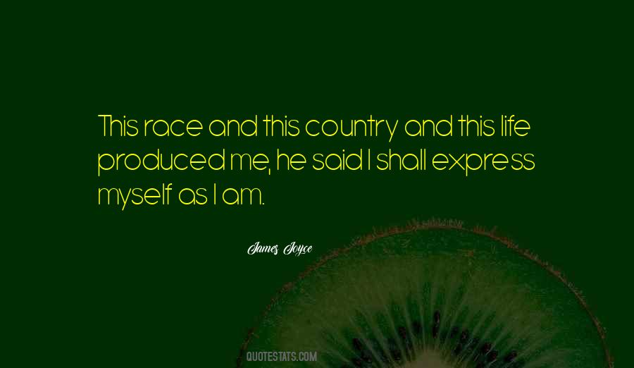Quotes About James Joyce #134017