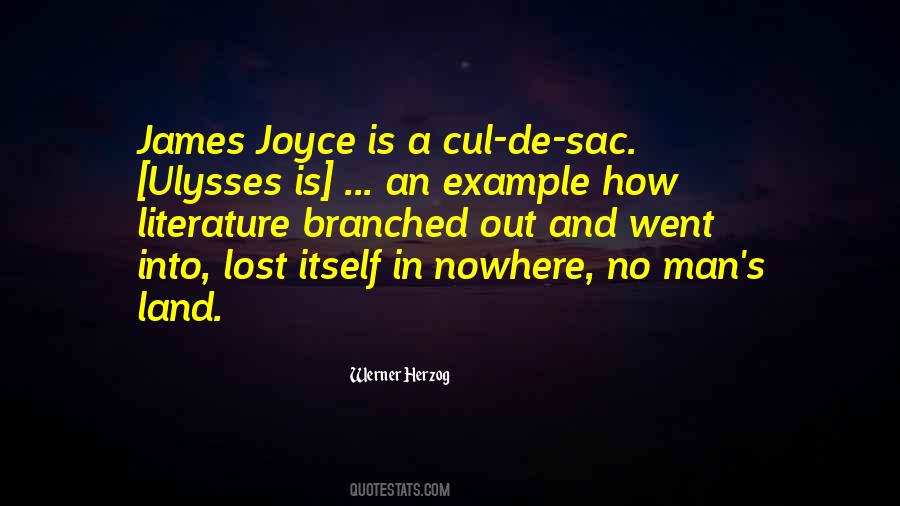 Quotes About James Joyce #771157