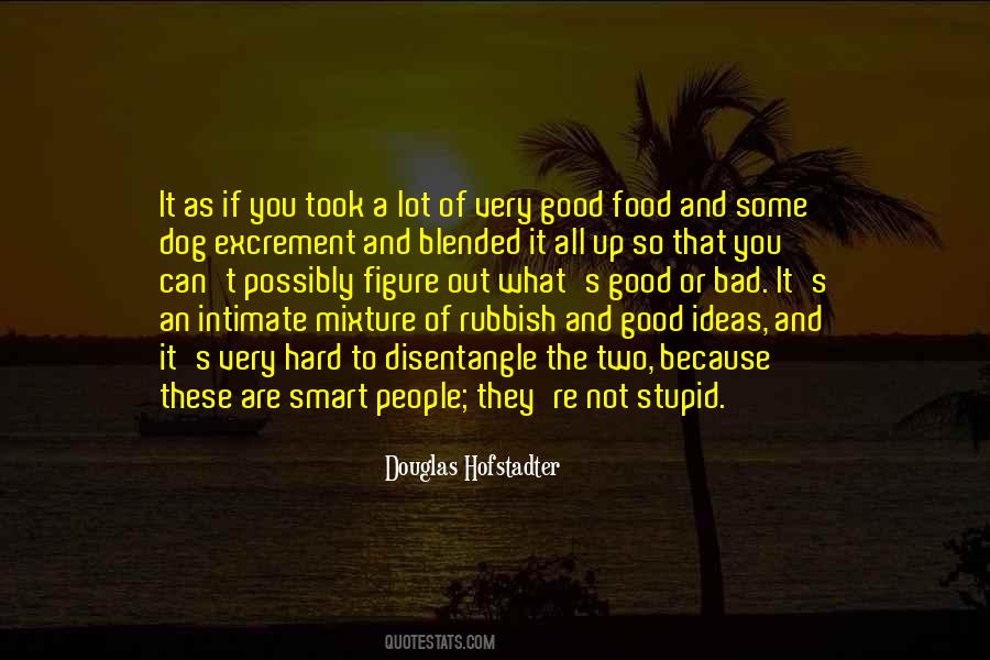 Quotes About Stupid Ideas #1336847