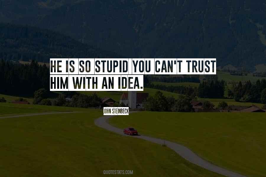 Quotes About Stupid Ideas #1693724