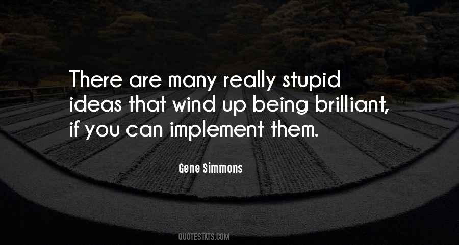 Quotes About Stupid Ideas #341296