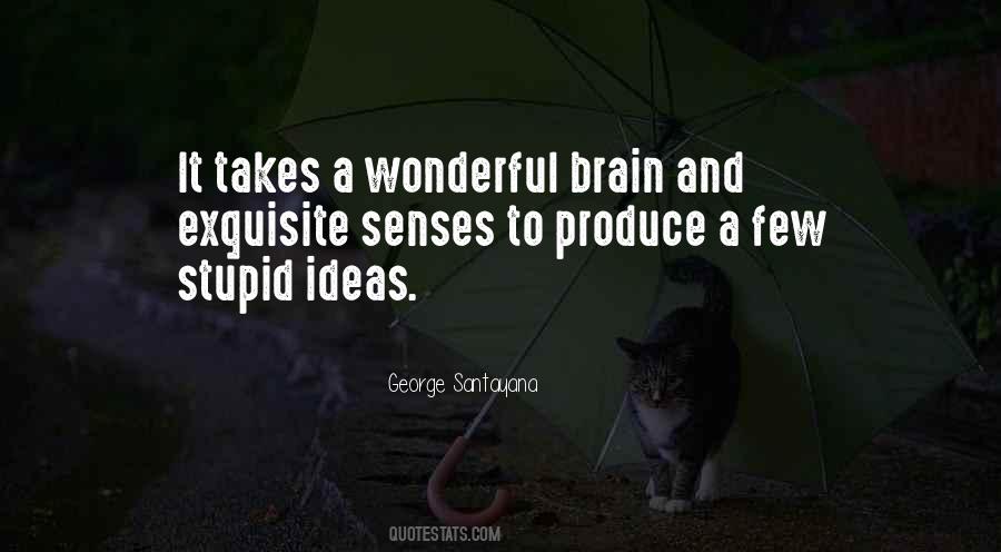 Quotes About Stupid Ideas #647726