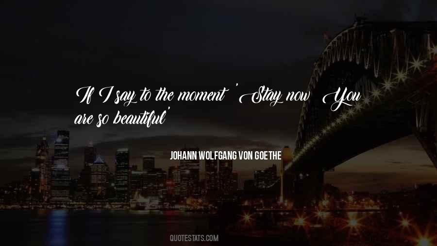 Some Beautiful Moments Quotes #321273