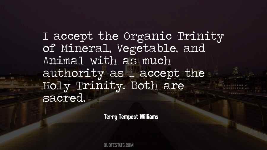 Quotes About Trinity #1376978