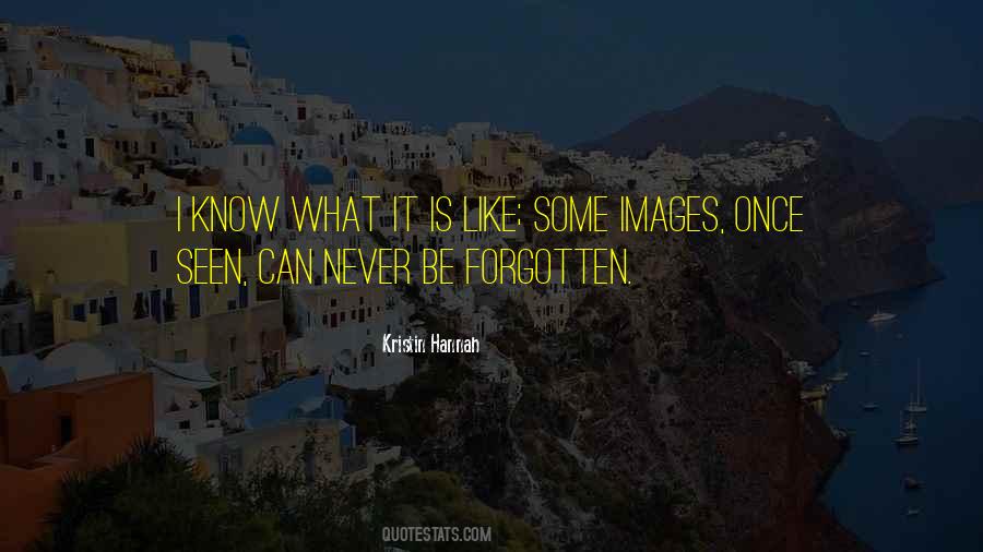 Some Things Can Never Be Forgotten Quotes #57064