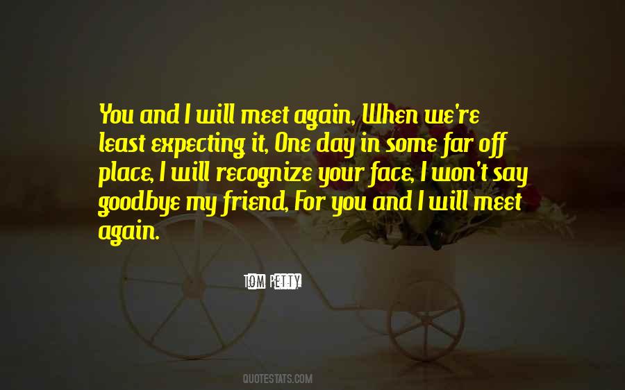 Someday Will Meet Again Quotes #80814