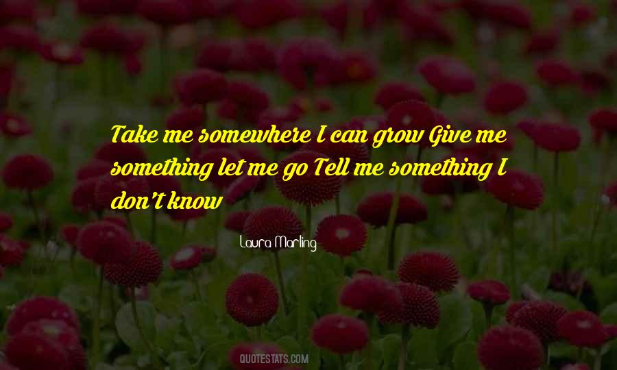 Something I Don't Know Quotes #49132