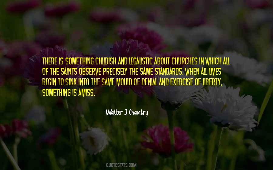 Something Is Amiss Quotes #631023