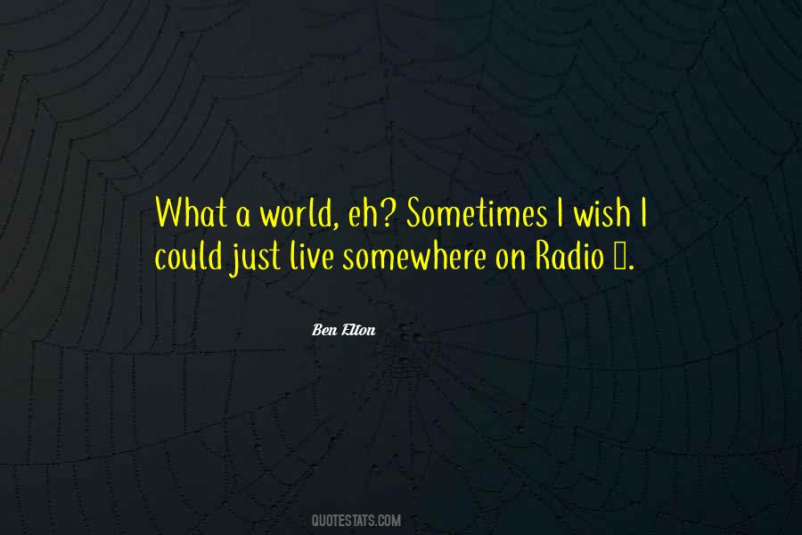 Sometimes I Wish I Could Quotes #964544