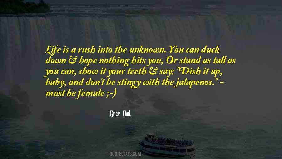 Sometimes Life Hits You Quotes #794259