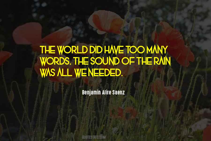 Sometimes No Words Are Needed Quotes #198893